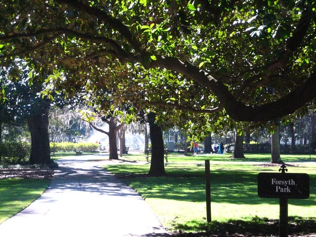 Forsyth Park