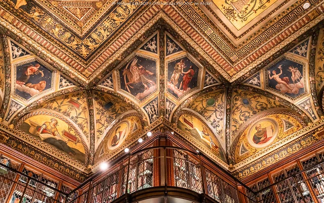 Morgan Library & Museum - TernTour