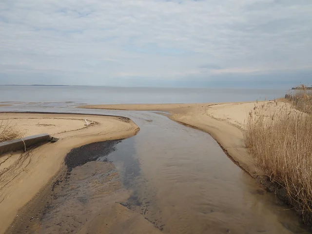 Terrapin Point