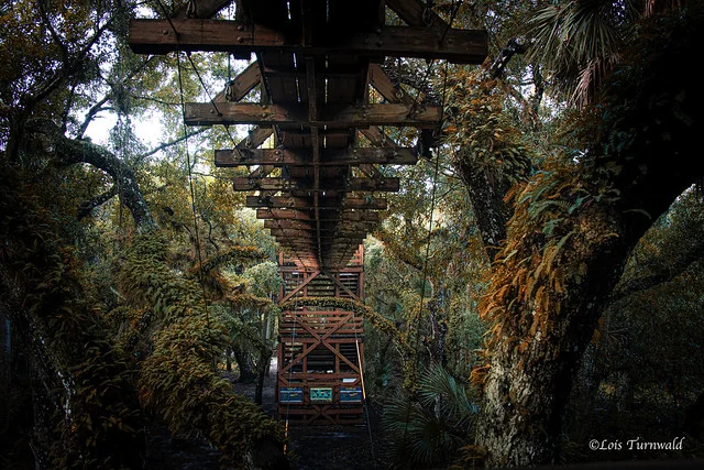 Myakka Canopy Walkway
