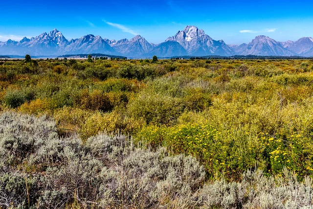 Willow Flats Overlook