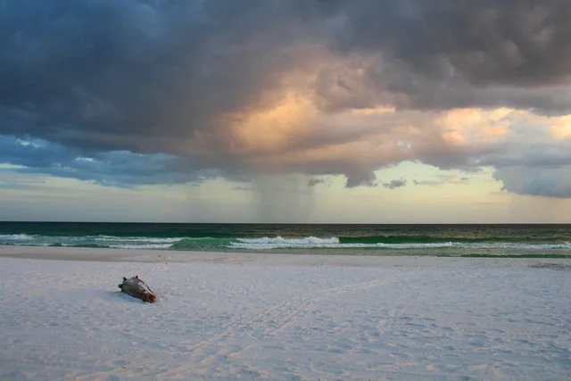 Henderson Beach State Park