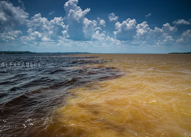 Meeting of Waters (Encontro das Aguas)