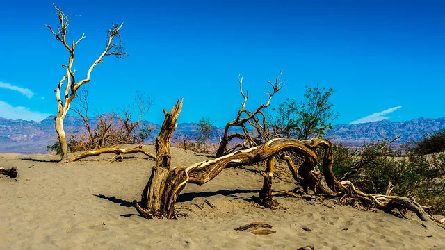 Sand Flats Recreation Area