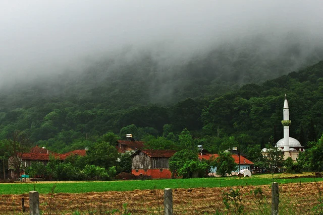 Village Green