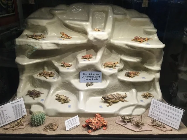 American International Rattlesnake Museum