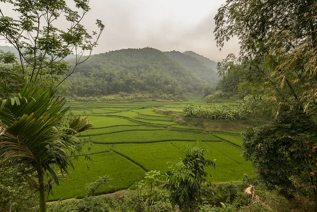 Pu Luong Nature Reserve