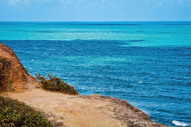 Cacimbinhas Beach