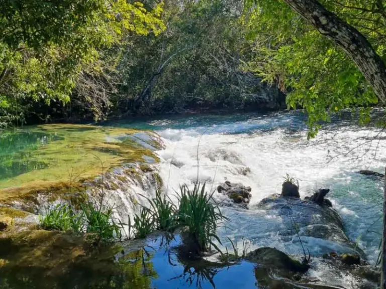 Rio Formoso Ecological Park (Parque Ecologico Rio Formoso)