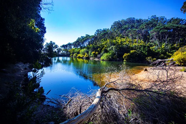 Blue Lagoon (Lagoa Azul)