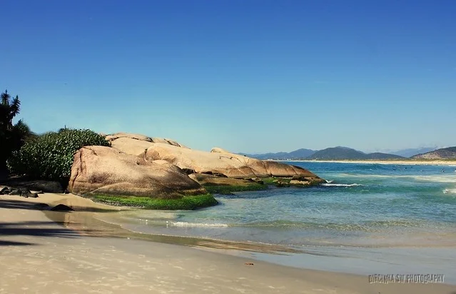 Joaquina Beach (Praia da Joaquina)