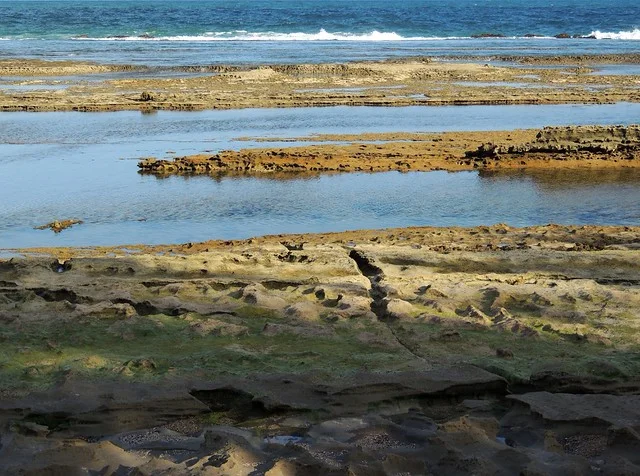 Muro Alto Beach (Praia de Muro Alto)