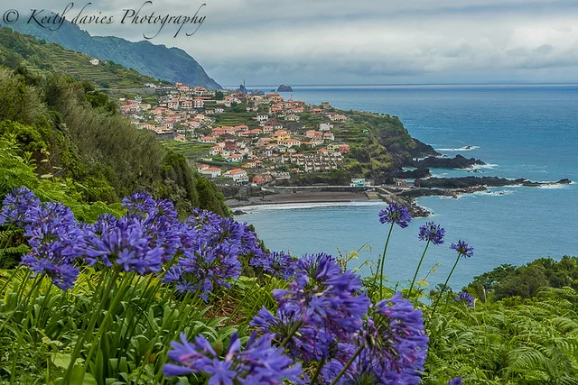 Sea Garden