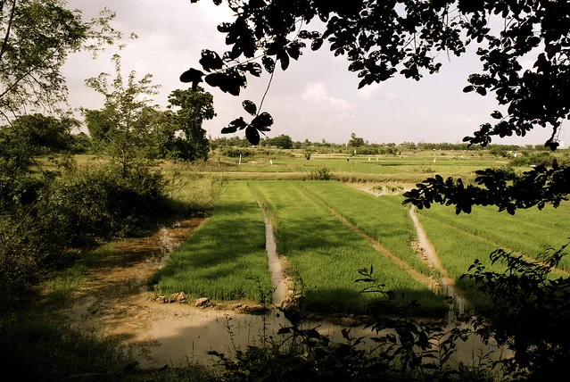 Choeung Ek Genocidal Center (Choeung Ek Killing Fields)