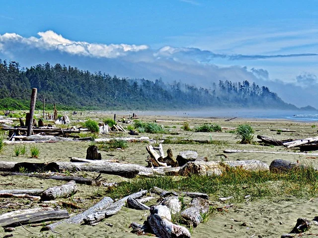 Pacific Rim National Park Reserve