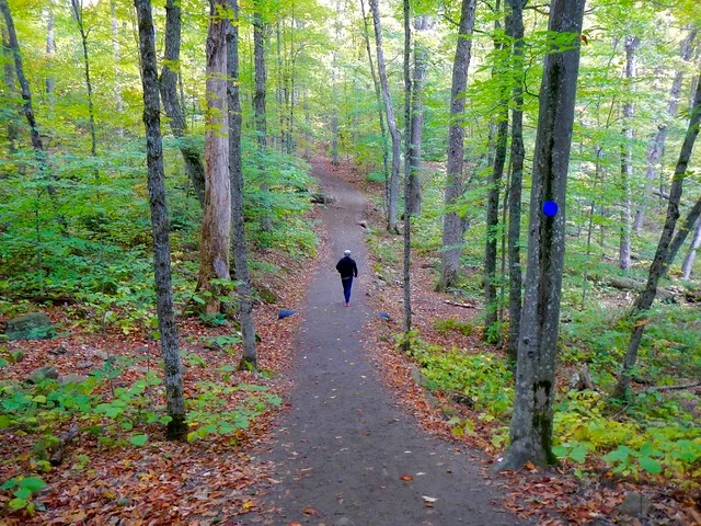 Algonquin Lookout Trail