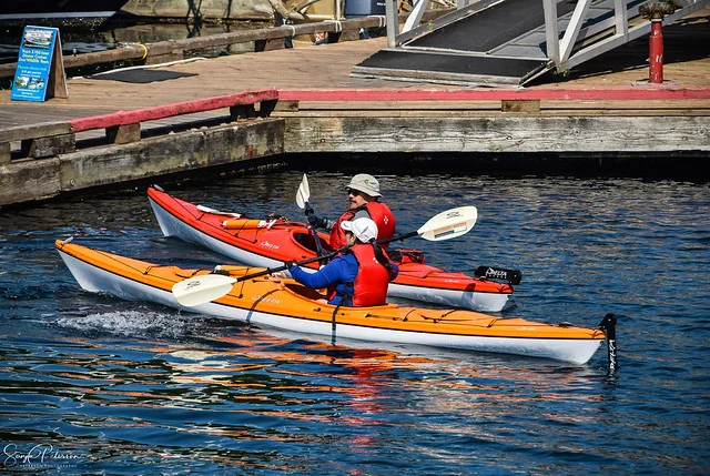 Canadian Canoe Museum