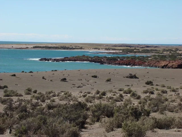 Punta Tombo