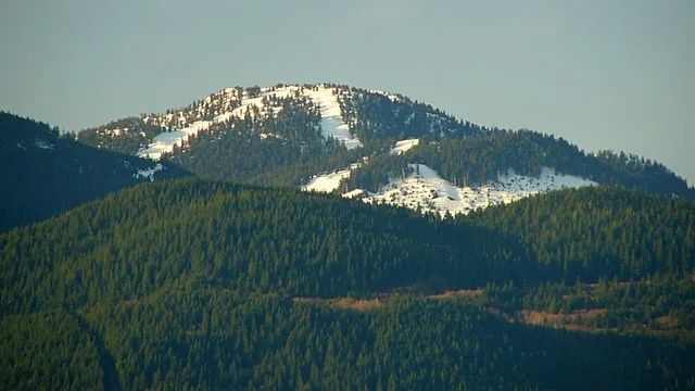 Grouse Mountain
