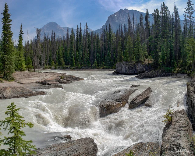 Kicking Horse River