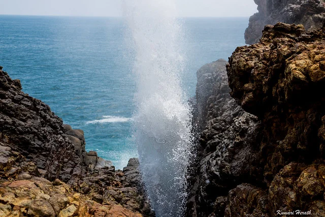 The Blowholes