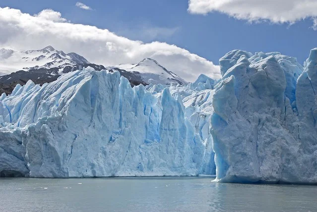 Grey Glacier