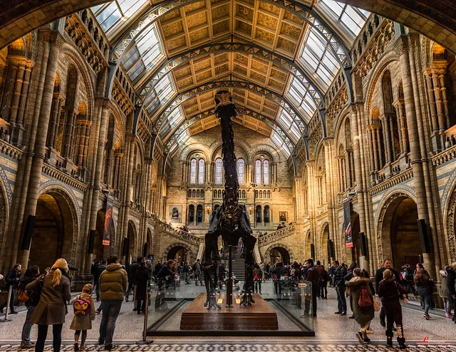 National Museum of Natural History (Museo Nacional de Historia Natural)