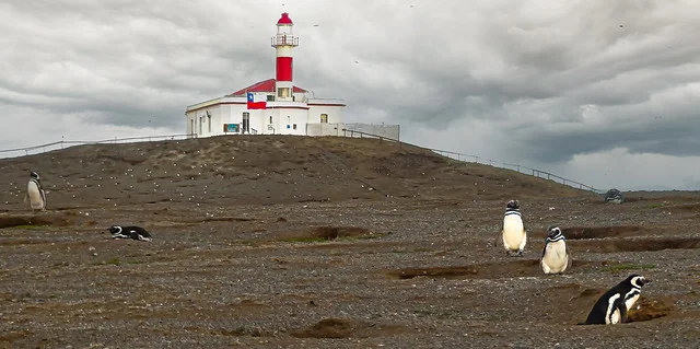 Magdalena Island (Isla Magdalena)