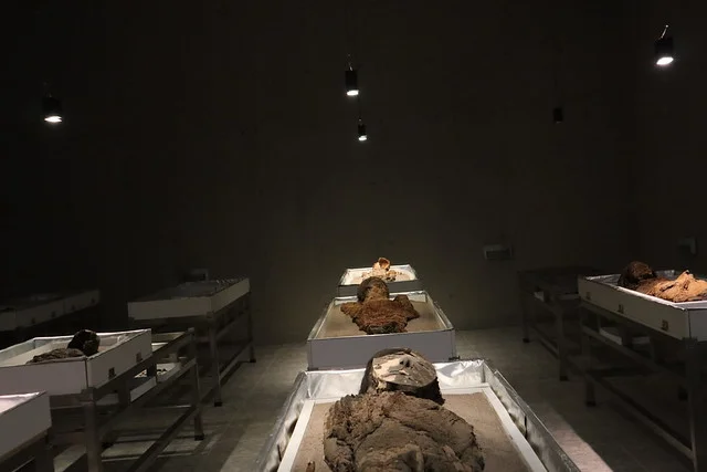 Museo Arqueologico San Miguel de Azapa