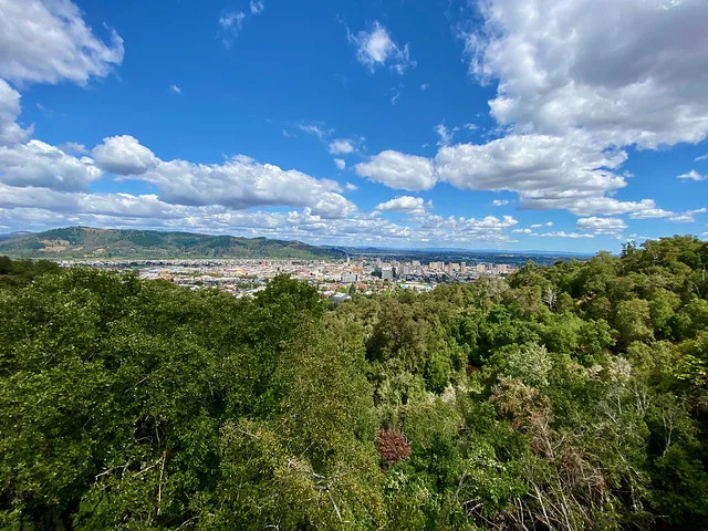 Monumento Natural Cerro Ñielol