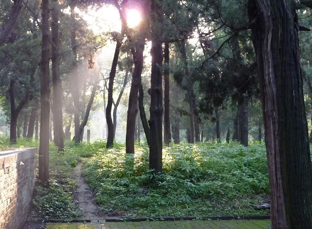 Cemetery of Confucius (Kong Lin)