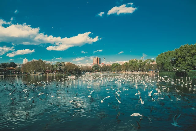 Green Lake Park Kunming