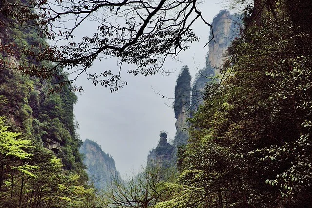 Zhangjiajie National Forest Park (Zhangjiajie Guojia Senlin Gongyuan)