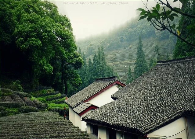 Meijiawu Tea Village