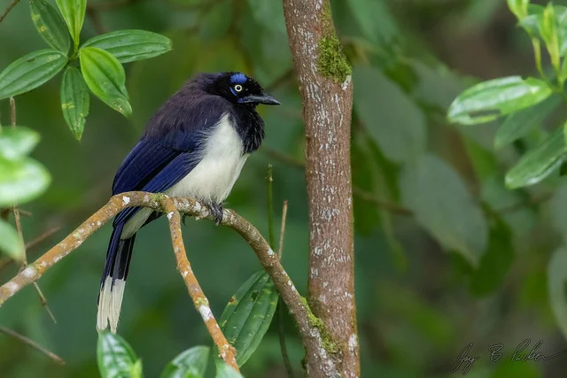 Sierra Nevada de Santa Marta National Park
