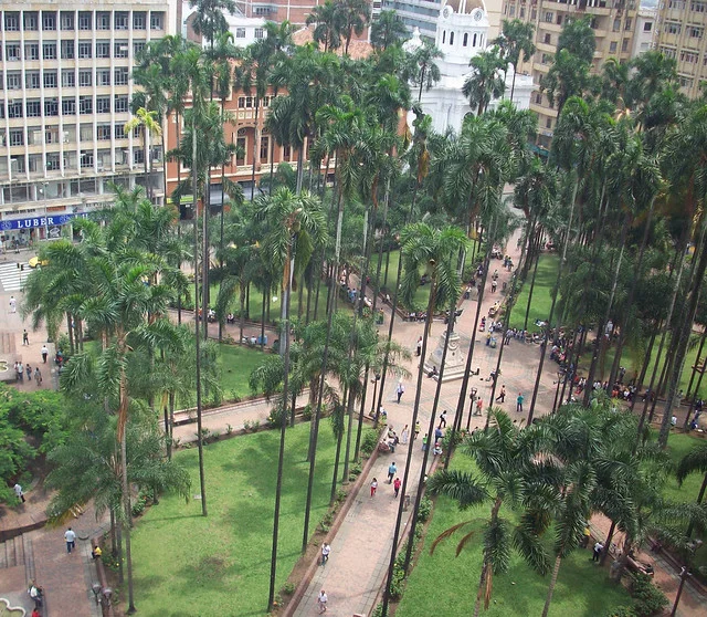 Plaza de Caicedo (Plaza de Cayzedo)