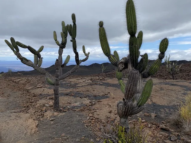 Santa Isabel Volcano