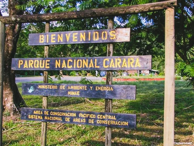 Carara National Park (Parque Nacional Carara)
