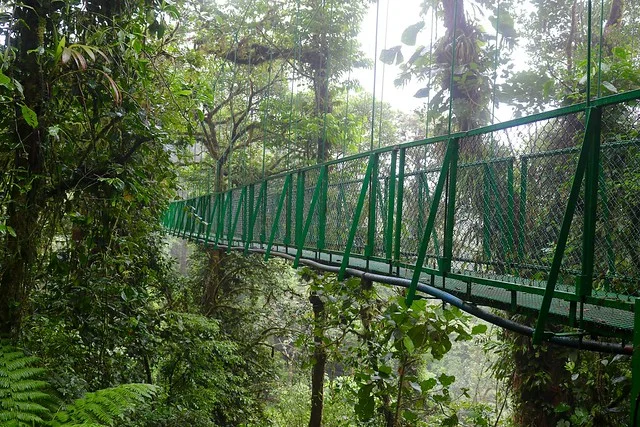 Selvatura Park