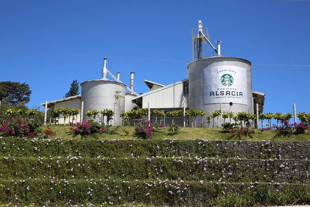 Hacienda Alsacia Starbucks Coffee Farm