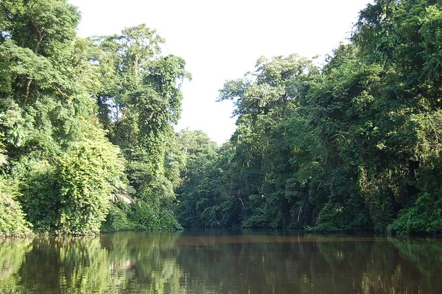 Tortuguero Canals