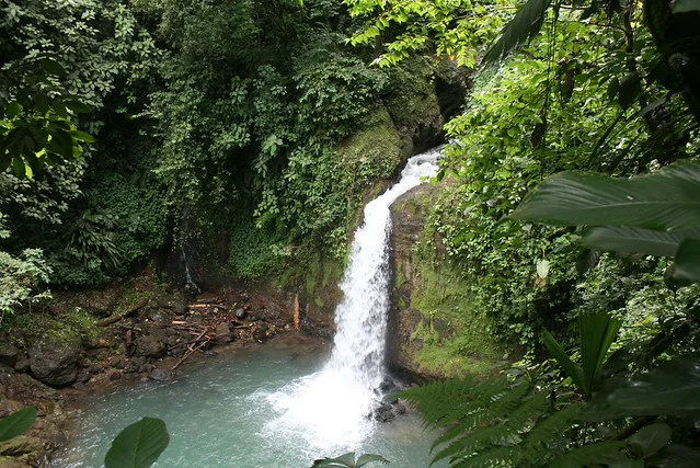 Pura Vida Gardens and Waterfalls
