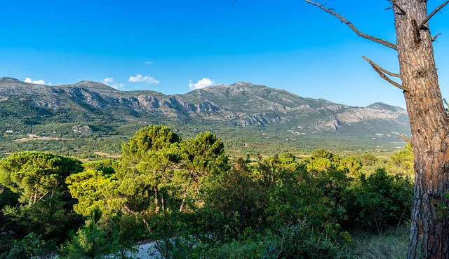 Konavle Valley