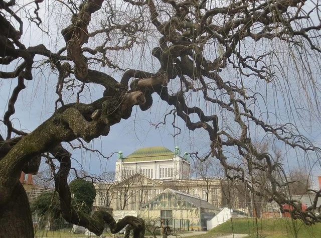 Zagreb Botanical Garden