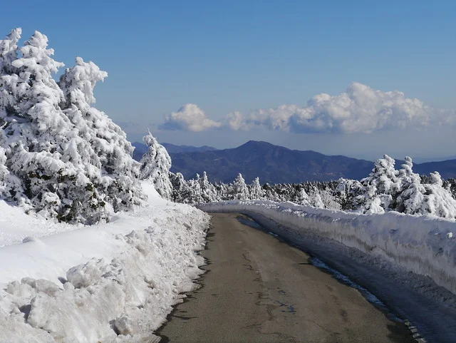 Troodos Mountains