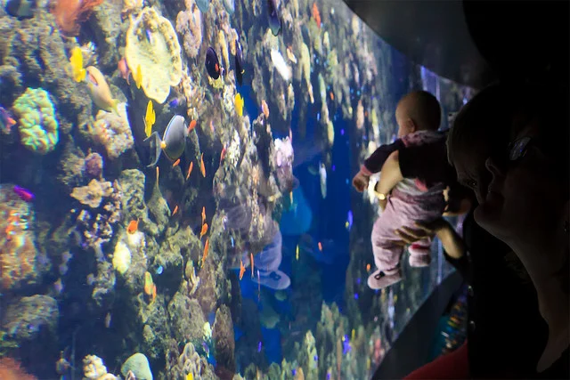 National Aquarium Denmark (Den Blaa Planet)