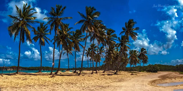 Macao Beach (Playa Macao)