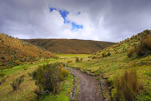 Cotopaxi National Park