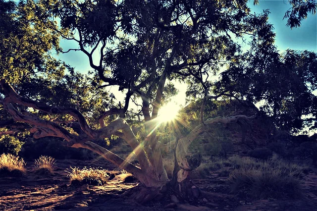 Watarrka National Park