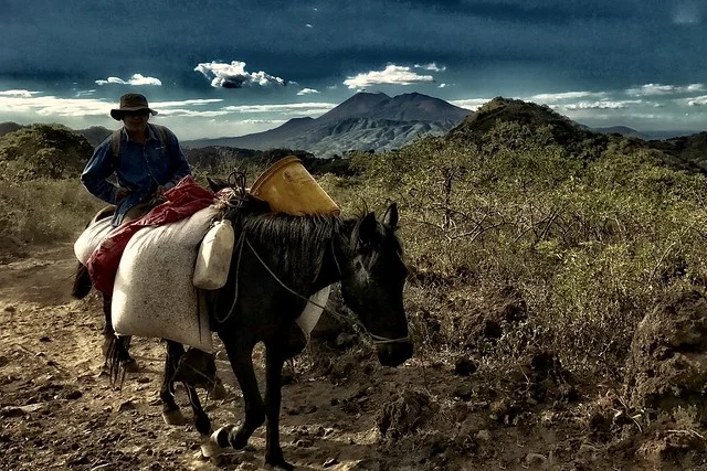 Avenue of the Volcanoes